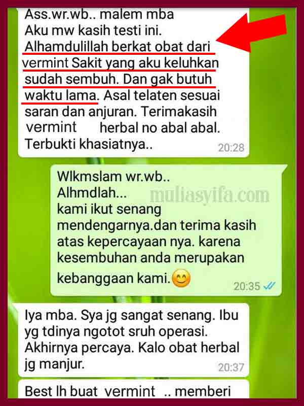 Jual Vermint Obat Diare di Sanana 