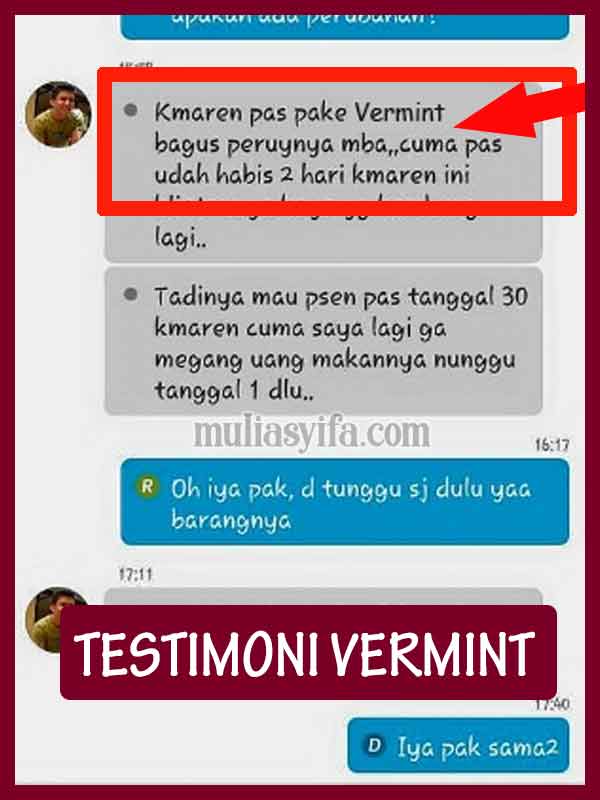 Jual Vermint Obat Tipes di Buton 