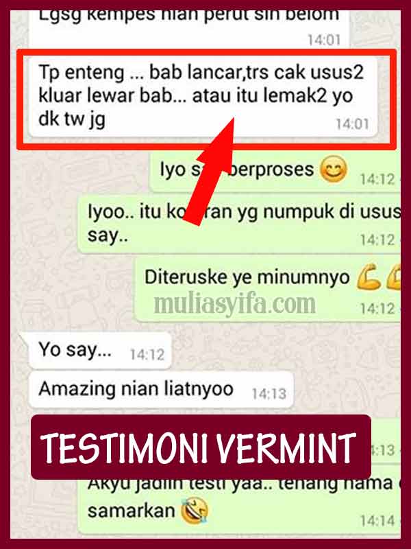 Jual Vermint Obat Demam di Teluk Dalam 