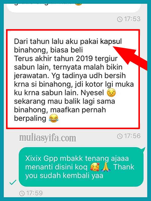 Jual Kapsul Binahong Inayah di Amuntai 