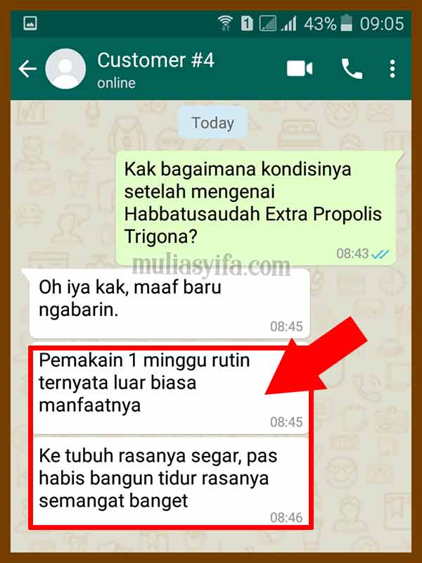 Jual Kapsul Habbatussauda Extra Propolis Trigona di Jailolo 