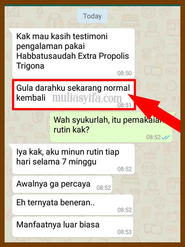 Jual Kapsul Habbatussauda Extra Propolis Trigona di Kebumen 