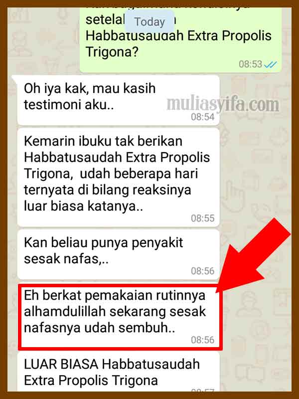 Jual Kapsul Habbatussauda Extra Propolis Trigona di Tumbang Titi 