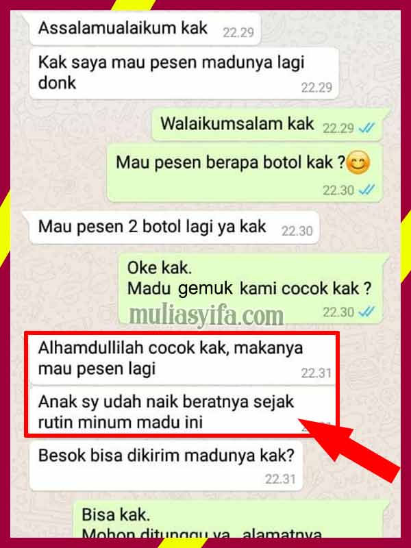 Jual Madu Penggemuk Badan di Solok Selatan 