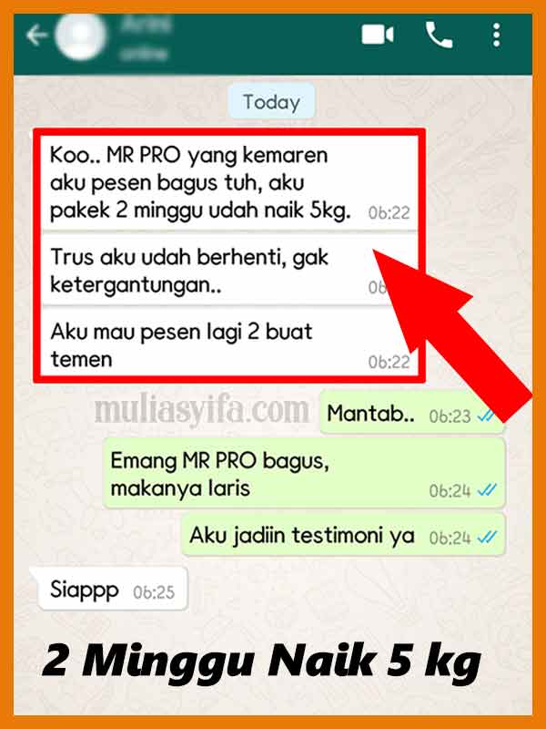 Jual Mr Pro Madu Penambah Berat Badan di Aceh Besar 