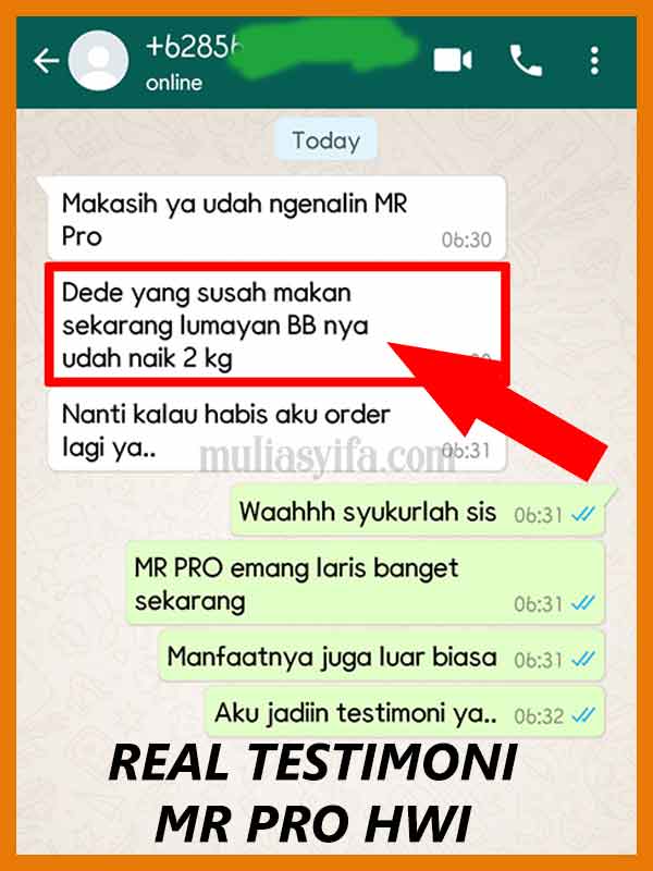 Jual Mr Pro Madu Penambah Berat Badan di Tegal 