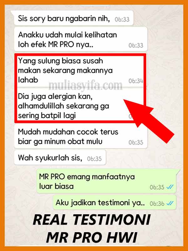 Jual Mr Pro Madu Penambah Berat Badan di Sukabumi 