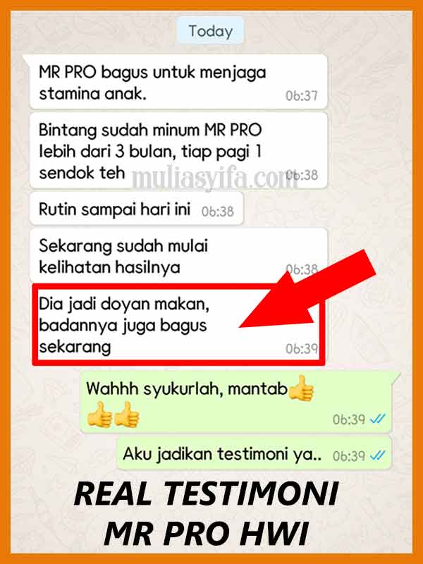 Jual Mr Pro Madu Penambah Nafsu Makan di Praya 