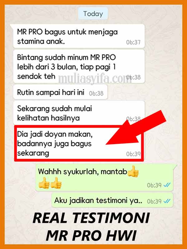 Jual Mr Pro Madu Penambah Berat Badan di Kubu 