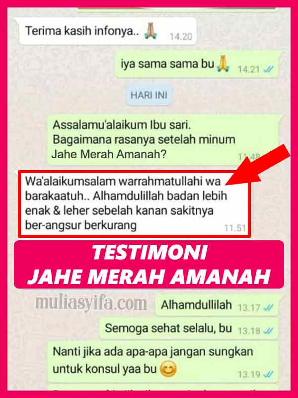 Khasiat Jahe Merah Amanah Super Dan Bahayanya 