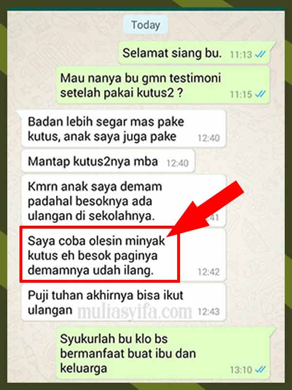 Inilah Kandungan Dalam Minyak Kutus Kutus Asli 