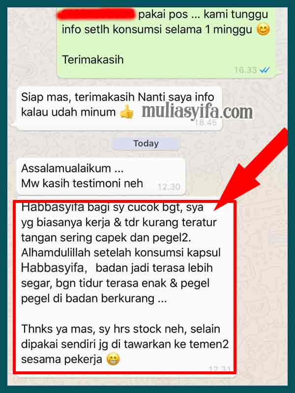 Jual Habbasyifa Kapsul Minyak Habbatussauda di Kapuas Hulu 