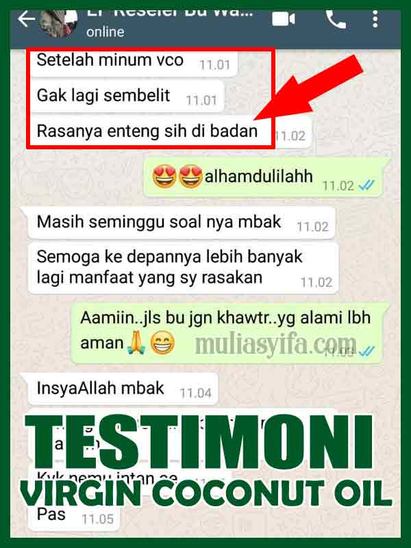 Jual Virgin Coconut Oil Untuk Wajah di Lingga 